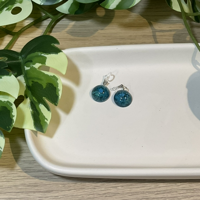 Farbe: Ohrclips #0311