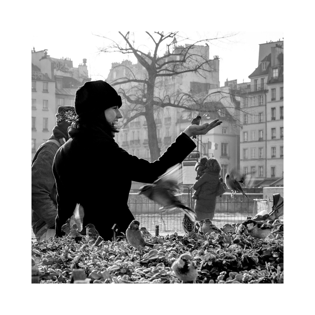 L’instant moineaux