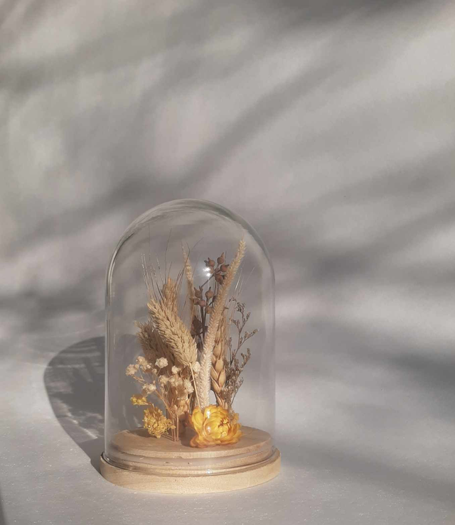 Globe fleurs séchées