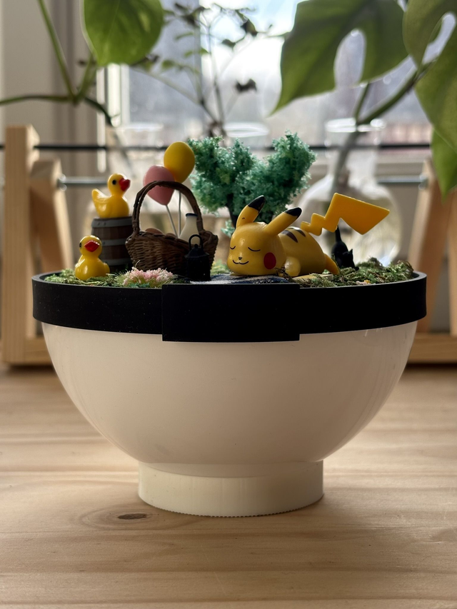 ☀️ Terrarium Pokémon - Édition Été - Pikachu