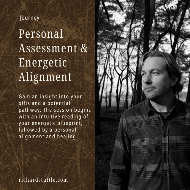 Personal Assessment &amp; Energetic Alignment