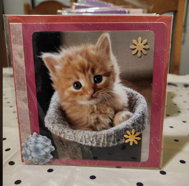 N°801 Carte Animaux  