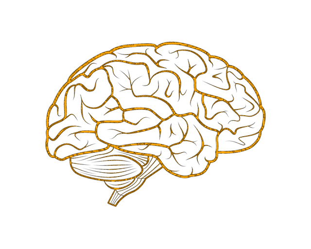 Apprenez à Vous Plonger en Auto-Hypnose en Toute Autonomie