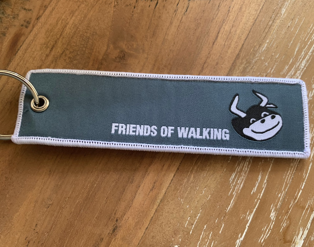 Pin collector friends of walking/ dreamkids