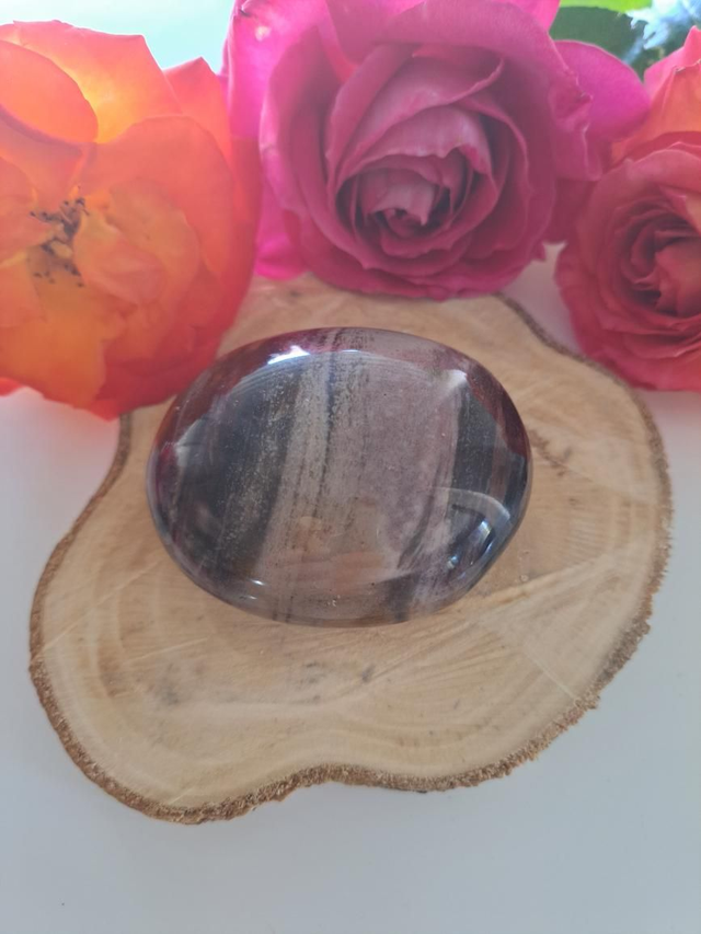 Galet bois pétrifié