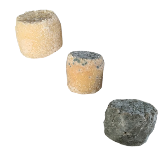 fromage de chèvre sec