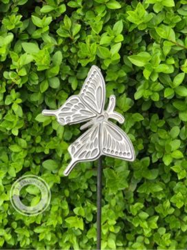 Swallowtail butterfly 