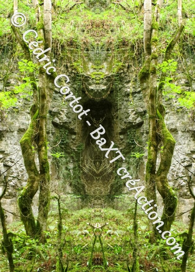 Carte postale - Entre réel et irréel (Ref IMG_1880-2)