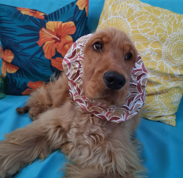 Snood Taille M tuiles 