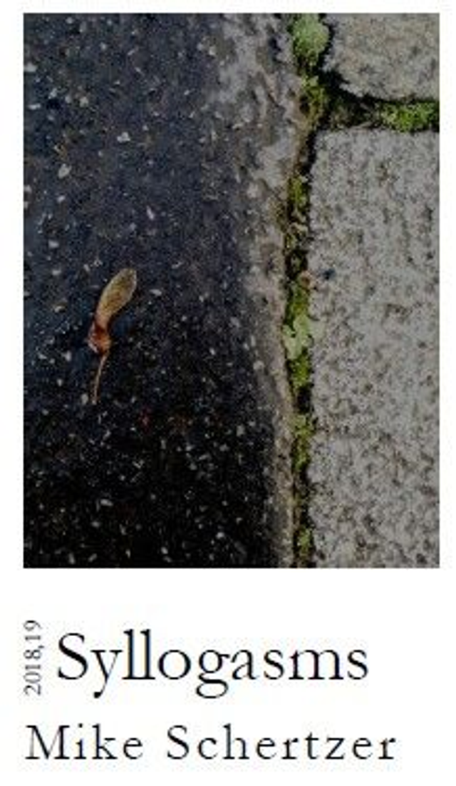 Syllogasms (recent additions to A Personal Dictionary)