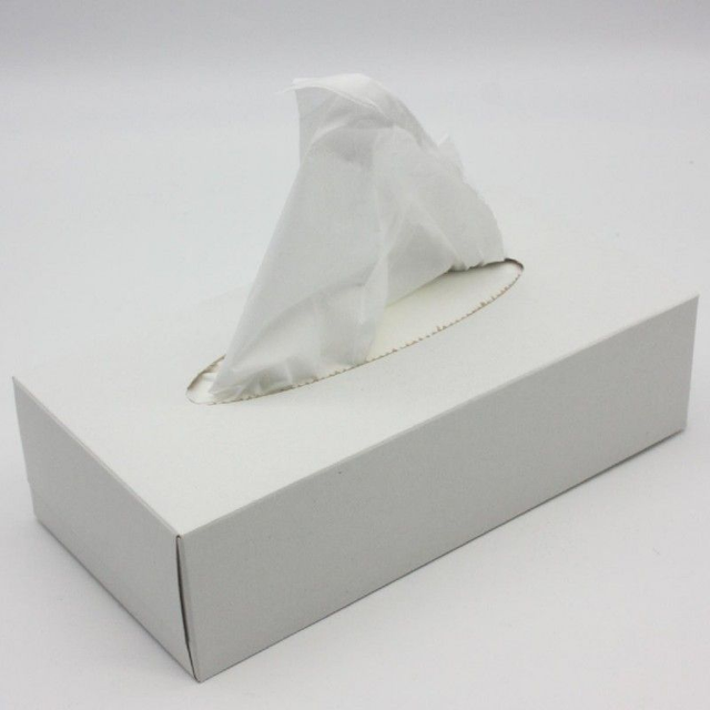 Kosmetiktücher in praktischer Zupfbox 100 Tücher