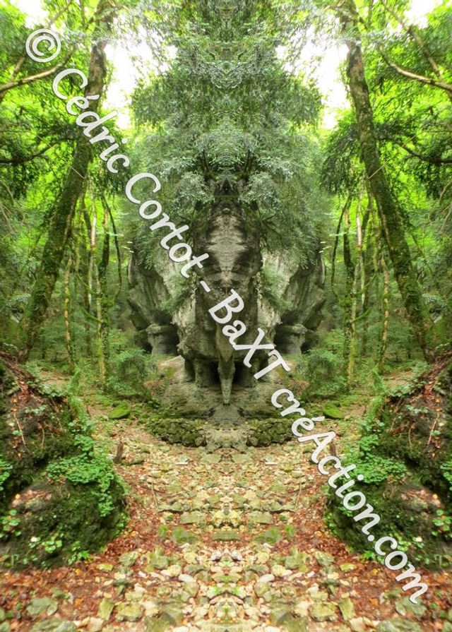 Carte postale - Entre réel et irréel (Ref IMG_3685-3)