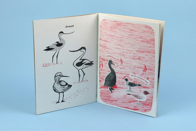 Shoreline, Skyline, Treetop Messenger