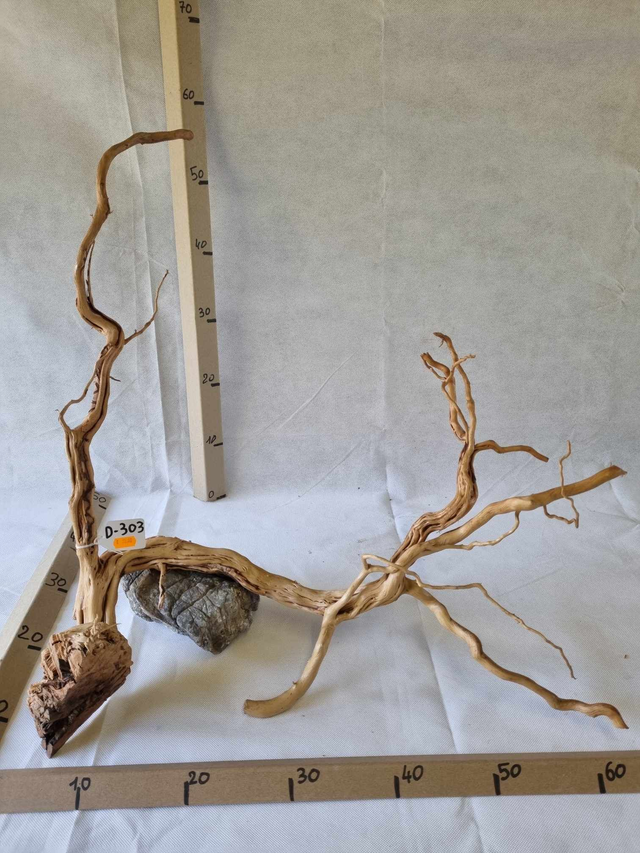 Racine Dragon Skin D-303