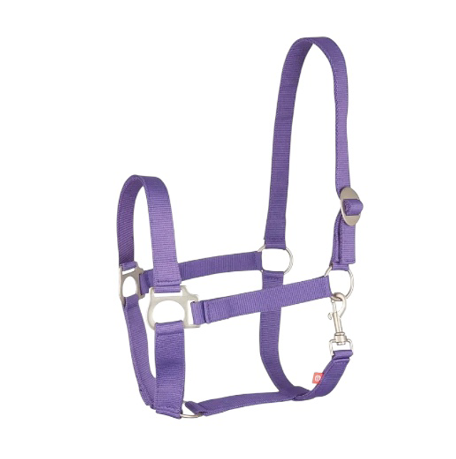 Imperial Classic Economic Head Collar - PURPLE