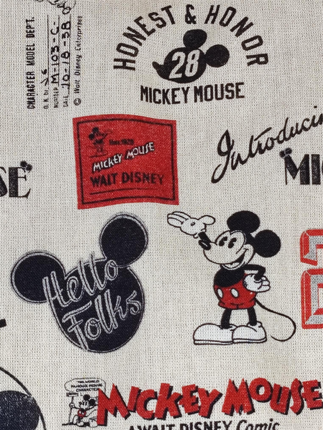 Bouillotte cœur ❤️ "MICKEY"