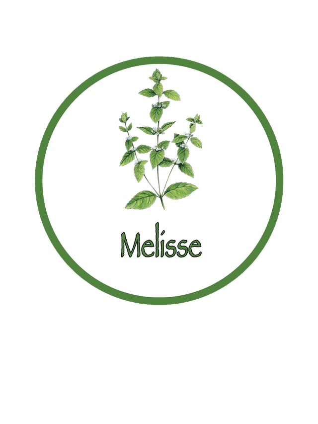 BIO Kräuterpellets Melisse