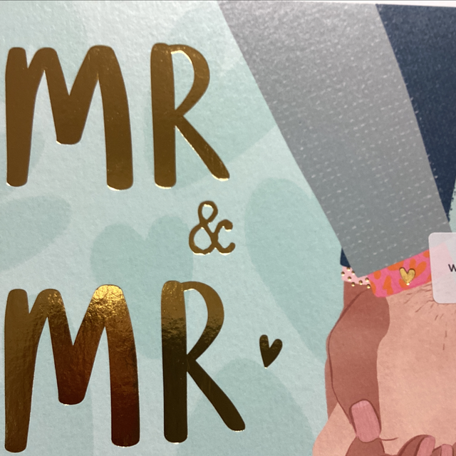 Wedding Day Mr and Mr WF