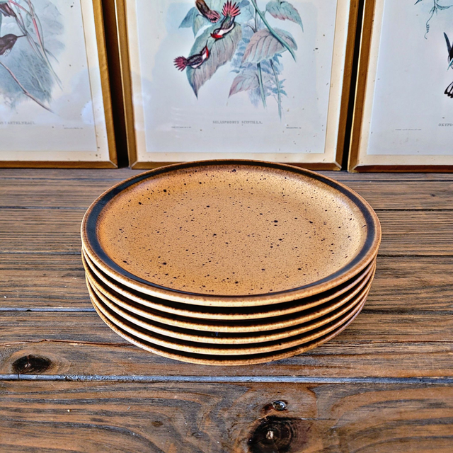 X Assiettes à dessert (6) grès de Bourgogne Sarreguemines 