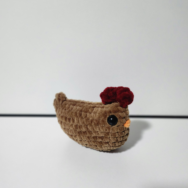 Poule 