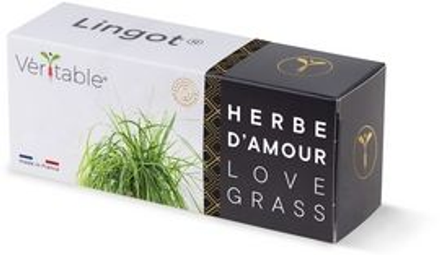 Véritable Lingot Love grass