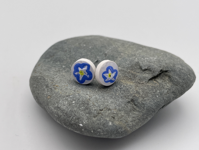 Dark forget-me not medium studs