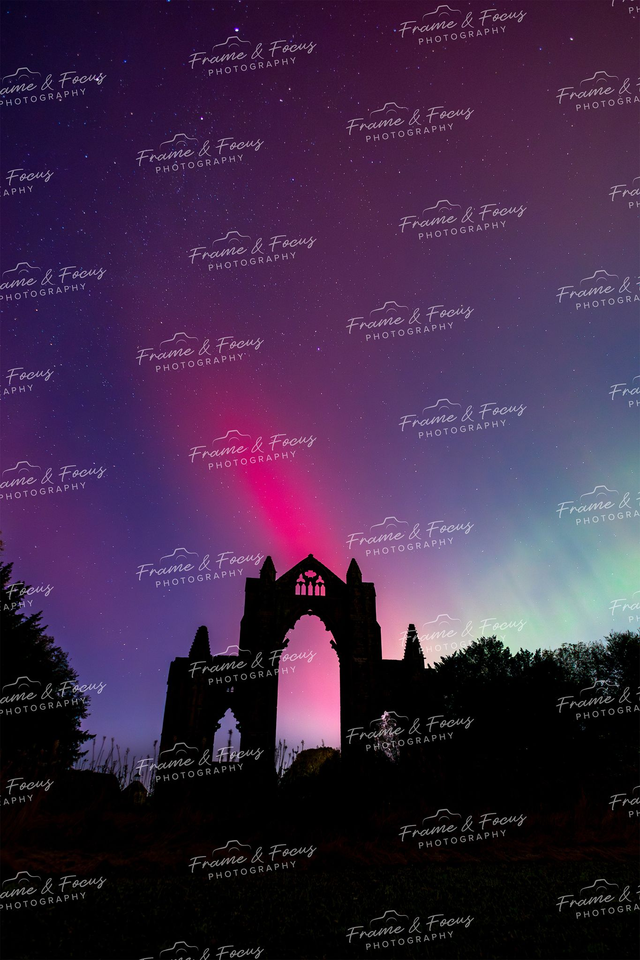 Enchanted, Guisborough