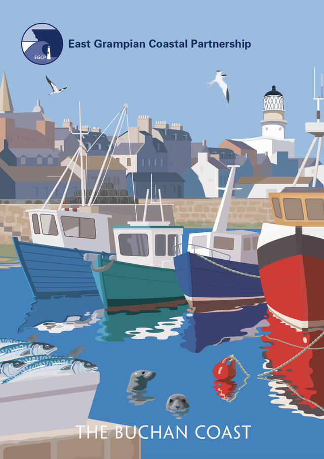 Buchan Coast Postcard