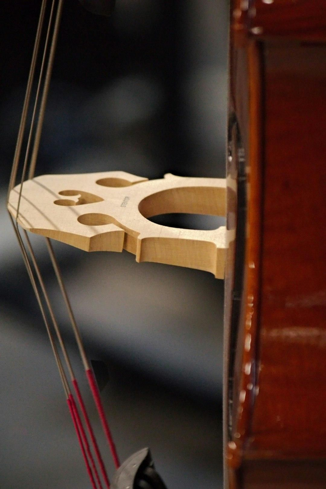 A dom 90min Musicien Massage signature pour les musiciens 🎼🎵🎶