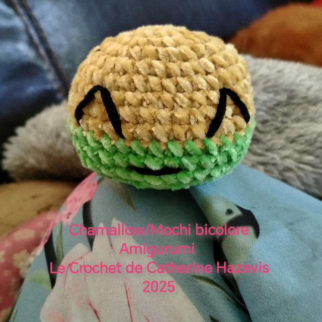 2025 Chamallow/Mochi bicolore Amigurumi 
