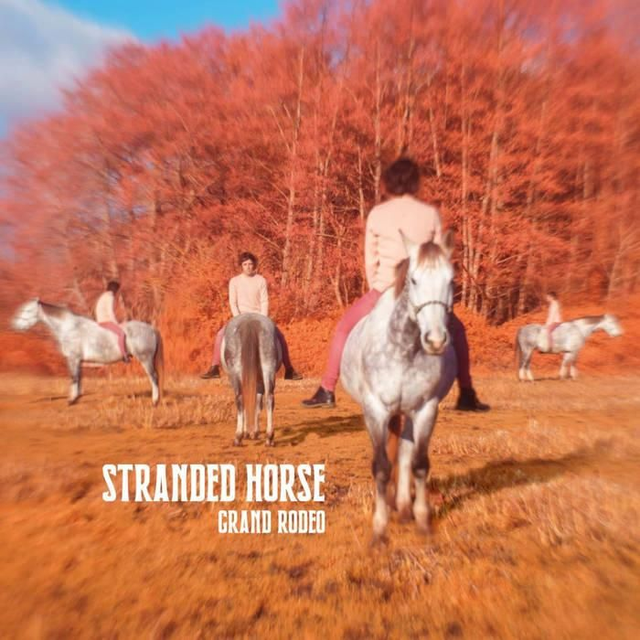 STRANDED HORSE
"Grand Rodeo"