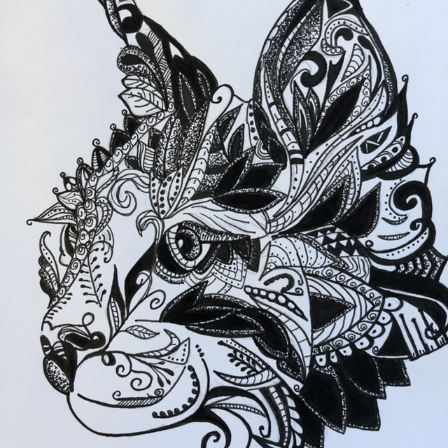 chat main coon tête - 22 x 22 cm - encadrement noir