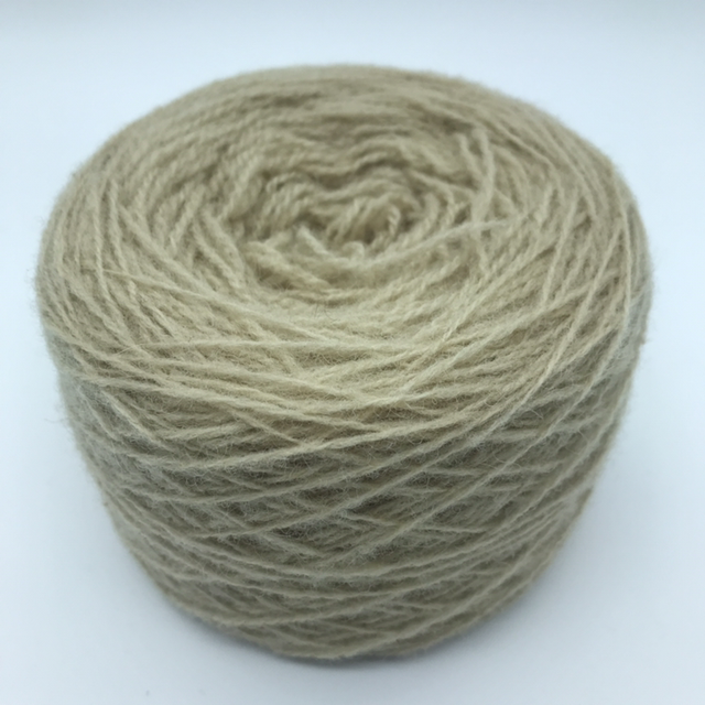 Belgolor #75 - Oignons rouges 3 -