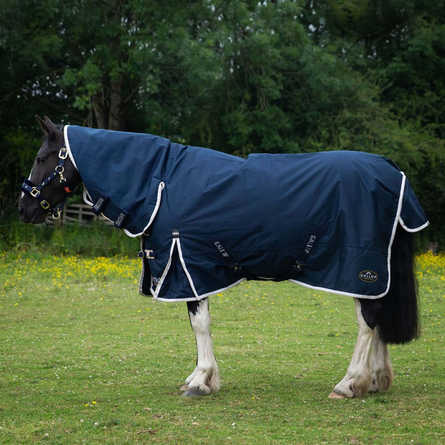Gallop Trojan 100g Duraproof Combo Turnout Rug Navy/Beige 