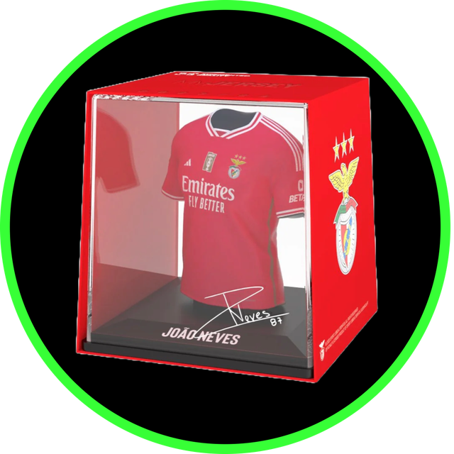 SL Benfica João Neves(2023/2024)