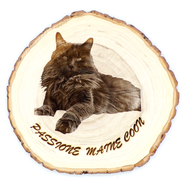 INCISIONE FOTO SU TRONCO