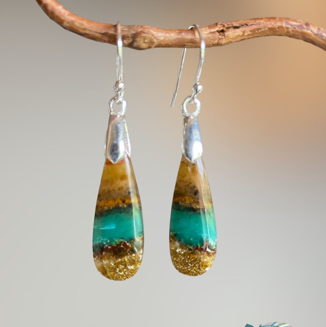 Boucles d’oreilles en bois pétrifié opalisé 