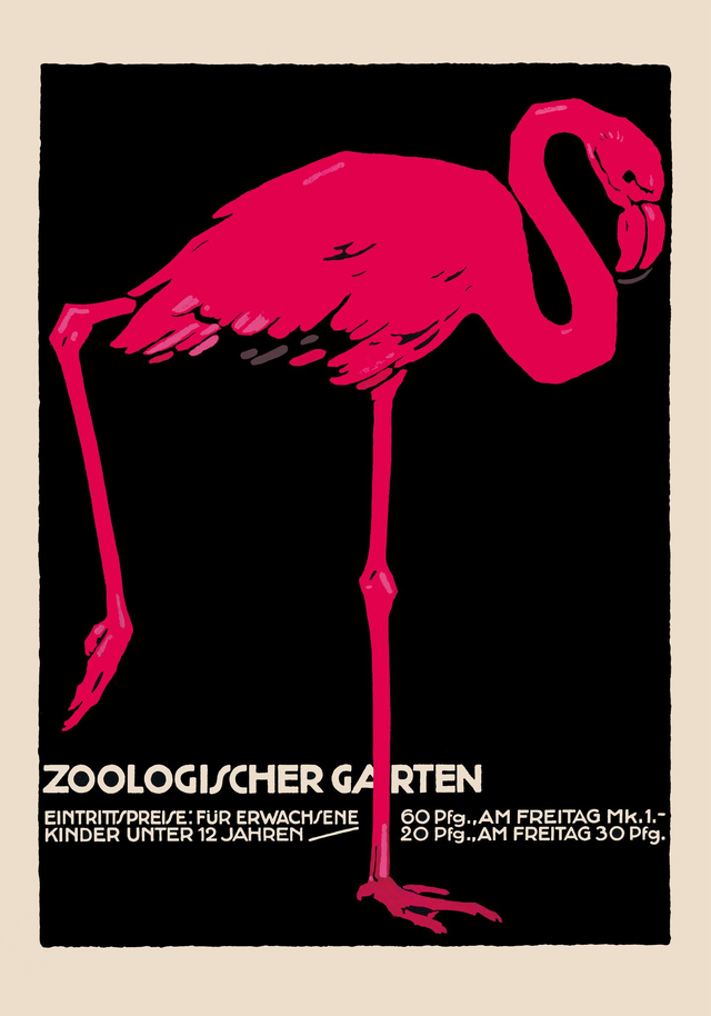Zoologischer Garten Flamingo