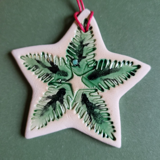 Festive Fir Duo - Wreath & Star Decoration