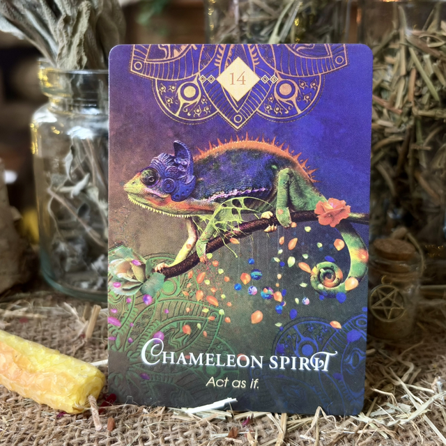 Magpie Oracle – Empowerment | 40 Curated Oracle Cards | Unique Intuitive Deck with Digital Guidebook
