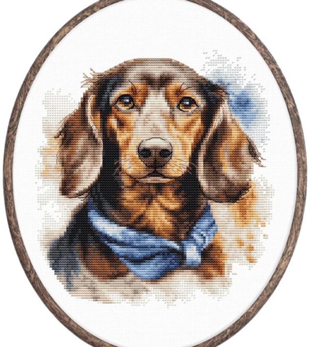 Cross Stitch Kit with Hoop Included Luca-S - The Dachshund, 