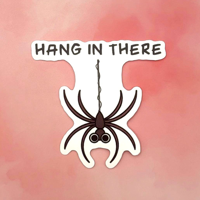 Hang in there / Spider
