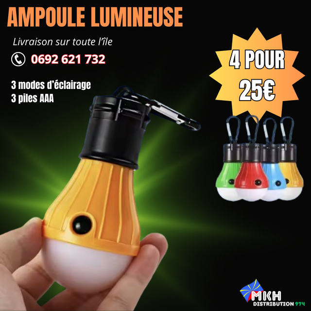 AMPOULE LUMINEUSE X4