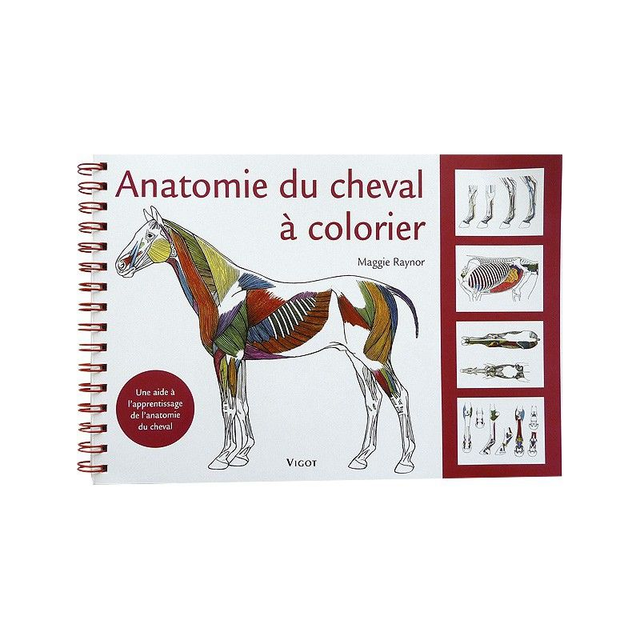 ANATOMIE DU CHEVAL À COLORIER