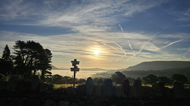 Brush Strokes & Blooms - Wednesday 20th August -Sunrise Edition - 6am -10am