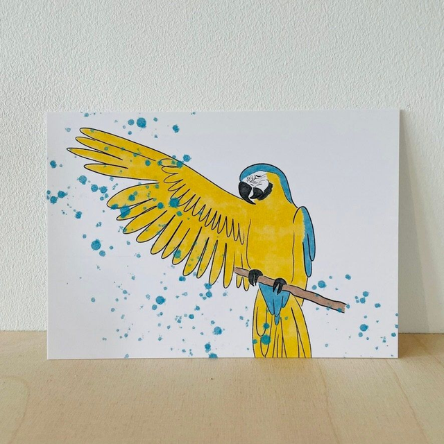 Ansichtkaart blauwgele ara, 10 x 15 cm