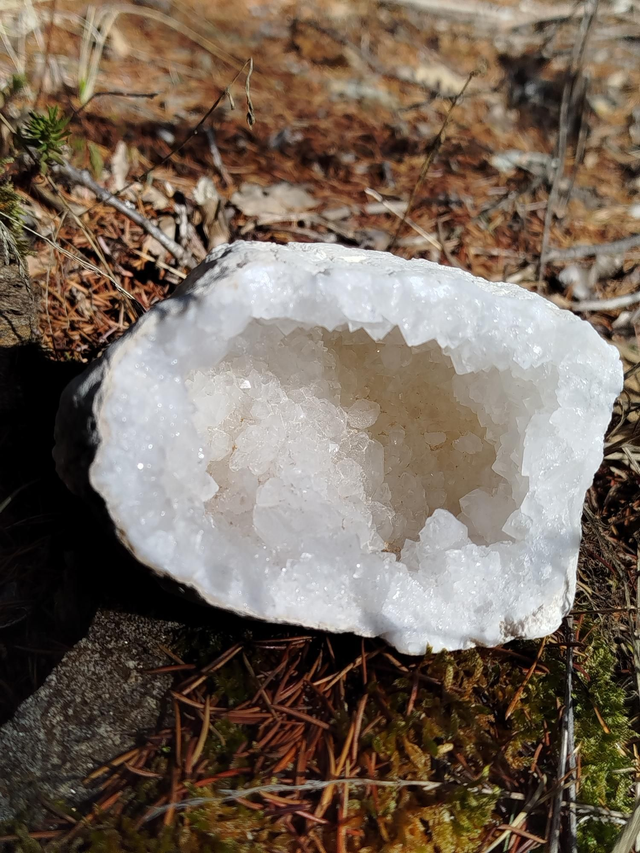 Géode de Quartz ( Cristal de Roche) 