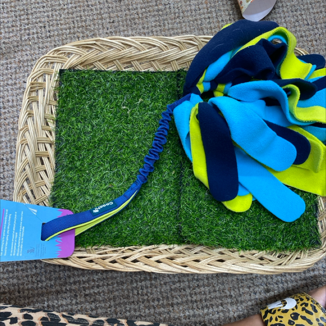 Tuggi spider (coachi)