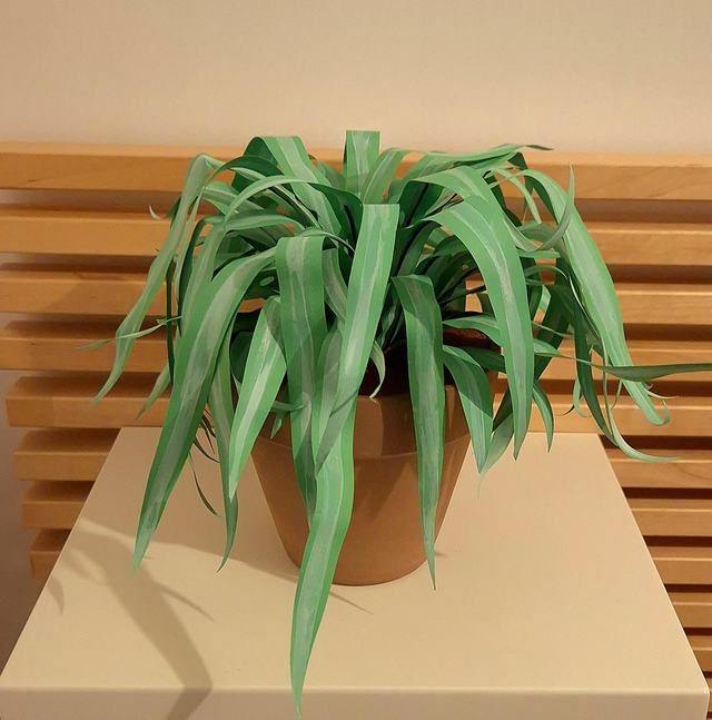 &quot;Jack&quot; – Jungle Domestique en Papier