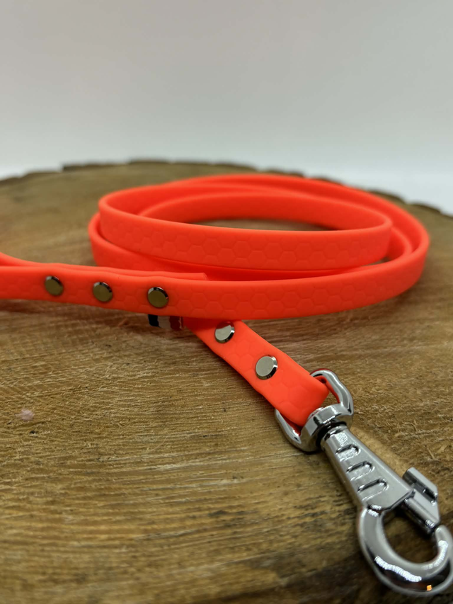 Laisse Cani-cool fine